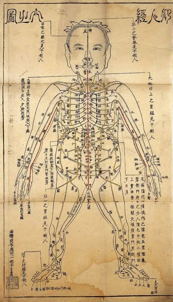 Illustration showing bodily tracks and their acupuncture points